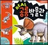 Real 공룡 박물관