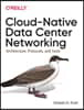 Cloud Native Data Center Networking: Architecture, Protocols, and Tools