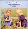 Julia Huber-Warzecha / Lucas Schurig-BreuB 멘델스존: 현악 교향곡 1-6번 (Mendelssohn: String Symphonies)