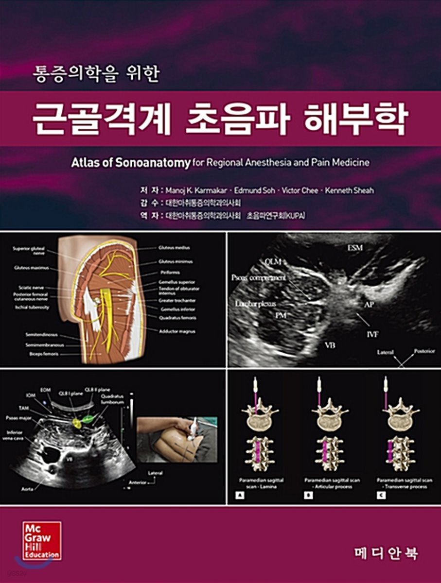 근골격계 초음파 해부학