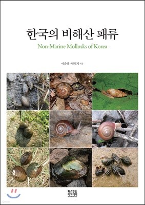 한국의 비해산 패류