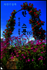 한스푼 1