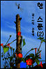 한스푼 2