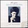 David Sanborn - Then Again: The Anthology (Deluxe Edition)