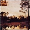 Silver Jews - Starlite Walker