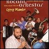 Kocani Orkestar (코차니 오케스트라) - 집시 맘보 (Gypsy Mambo)