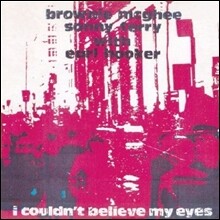 Sonny Terry &amp; Brownie Mcghee - I Couldn't Believe My Eyes
