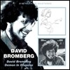 David Bromberg - David Bromberg/Demon In Disguise