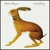 Vashti Bunyan - Lookaftering