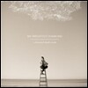 My Brightest Diamond - A Thousand Shark's Teeth