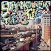 Sufjan Stevens - The Bqe