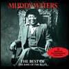 머디 워터스 베스트 모음집 (The Best Of Muddy Waters - The King Of The Blues)
