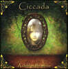 Ciccada - 1집 A Child In The Mirror [2LP]