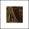 Devin Townsend Band - Synchestra [브라운 컬러 2 LP]