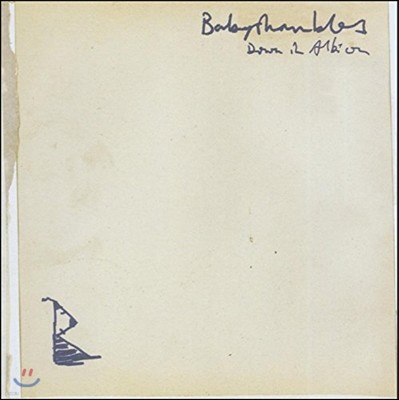 Babyshambles (베이비쉠블스) - Down In Albion [2LP]