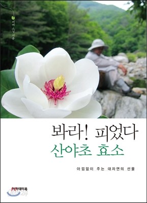 봐라! 피었다 산야초 효소