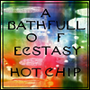 Hot Chip - Bath Full Of Ecstasy (Gatefold)(2LP)