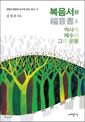 복음서 (상)