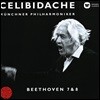 Sergiu Celibidache 베토벤: 교향곡 7, 8번 (Beethoven: Symphony Op.92, 93)