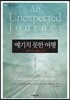 예기치 못한 여행