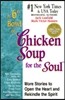 A 6th Bowl of Chicken Soup for the Soul