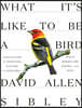 What It's Like to Be a Bird: From Flying to Nesting, Eating to Singing--What Birds Are Doing, and Why