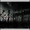 Dead Can Dance - Anastasis (2LP)