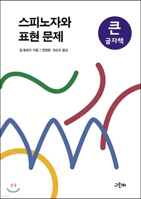 스피노자와 표현 문제 큰글자책
