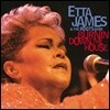 Etta James (에타 제임스) - Burnin’ Down The House [2LP]