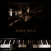 Howe Gelb - Gathered (MP3 Download)(LP)