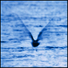 Ryo Fukui - Mellow Dream (Vinyl LP)
