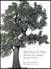 The Story of Trees