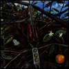 Dragonfly - Dragonfly (LP)