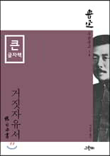 거짓자유서 (큰글자책)