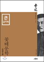 꽃테문학 (큰글자책)