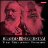 Leif Segerstam 브람스: 교향곡 4번 / 레이프 세게르스탐: 교향곡 295번 (Brahms: Symphony Op. 98 / Leif Segerstam: Symphony No. 295)