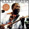 Muddy Waters (머디 워터스) - The R & B Hits [LP]