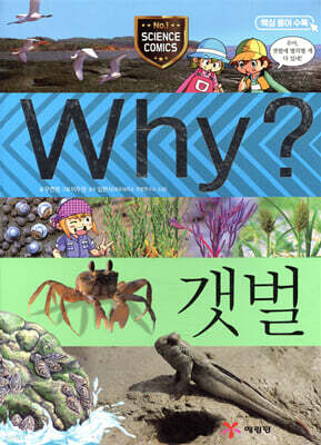 Why? 와이 갯벌