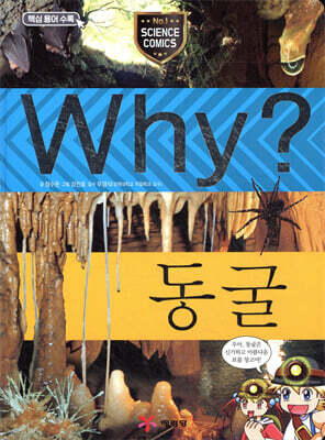 Why? 와이 동굴