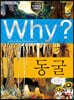 Why? 와이 동굴