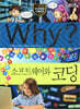 Why? 와이 소프트웨어와 코딩