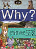 Why? 와이 한국사 운명을 바꾼 도전