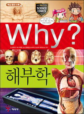 Why? 와이 해부학