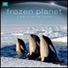 BBC Earth : Frozen Planet 2013 Linen Wall Calendar