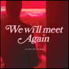 반 플레인 (van Plein) - We will meet again