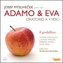 Peter Van Heyghen / Il Gardellino 요제프 미슬리베체크: 오라토리오 '아담과 이브' (Josef Myslivecek: Adamo &amp; Eva)