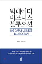 빅데이터 비즈니스 블루오션