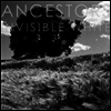 Ancestors - Invisible White (LP)
