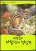 귀염둥이 다람쥐와 청설모