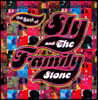 Sly & The Family Stone (슬라이 스톤 앤 더 모조 맨) - The Best Of [2LP]